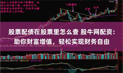 股票配債在股票里怎么查 股牛網配資：助你財富增值，輕松實現財務自由